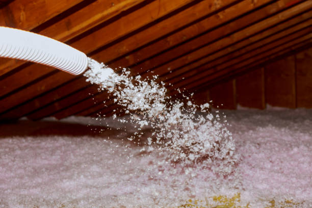 Best Residential Insulation in Fritch, TX