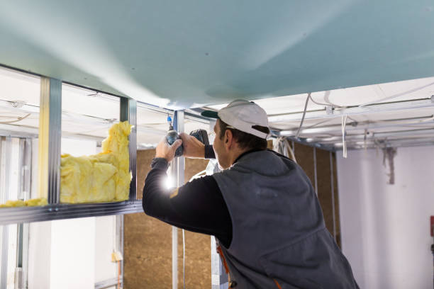 Best Energy Efficiency Insulation in Fritch, TX