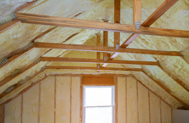 Best Specialized Insulation Services in Fritch, TX