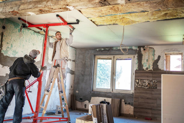 Best Insulation Maintenance and Repair in Fritch, TX