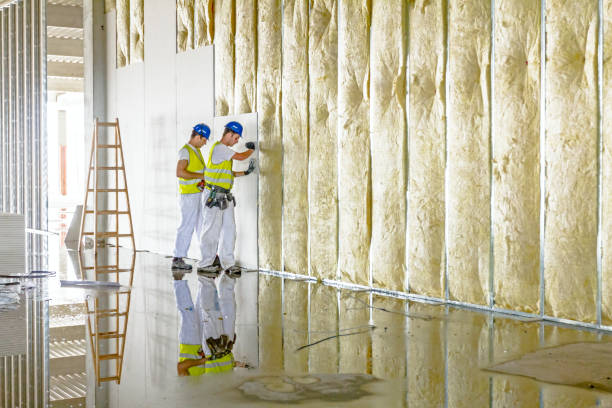 Best Insulation for Specific Applications in Fritch, TX